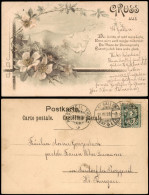 Ansichtskarte  Blumen Und Stadt 1899  Gel. Stempel St. Gallen - Malerei & Gemälde