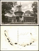 Ansichtskarte Potsdam Historische Mühle Schloss Park Sanssouci 1940 - Potsdam