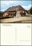 Ansichtskarte Häusern Fremdenheim Im Wiesengrund Bes. W. U. R. Schmidt 1980 - Other & Unclassified