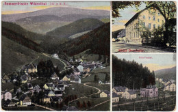Wildenthal Eibenstock 3 Bild: Panorama Hotel Drechseler U Villa Erzgebirge  1913 - Eibenstock