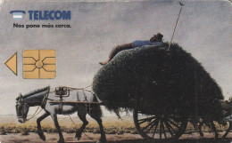 PHONE CARD ARGENTINA  (CZ2973 - Argentinië