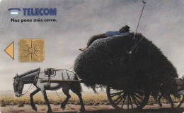 PHONE CARD ARGENTINA  (CZ2974 - Argentinië