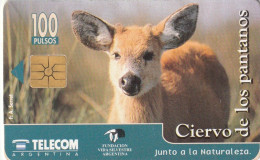 PHONE CARD ARGENTINA  (CZ2969 - Argentinië