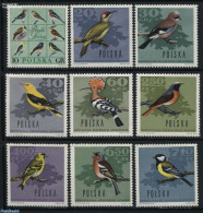 Poland 1966 Forest Birds 9v, Mint NH, Nature - Birds - Ongebruikt