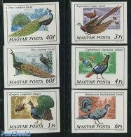 Hungary 1977 Pheasants 6v Imperforated, Mint NH, Nature - Birds - Poultry - Unused Stamps