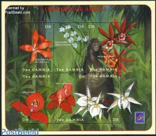 Gambia 2001 Belgica 01, Orchids 6v M/s, Mint NH, Nature - Flowers & Plants - Orchids - Philately - Gambie (...-1964)