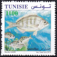 Timbre-poste Gommé Dentelé Neuf** - Poissons De Tunisie Sparaillon (Diplodus Annularis) - N° 1707 (Yvert) - Tunisie 2012 - Tunisie (1956-...)