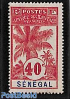 Senegal 1906 40c, Stamp Out Of Set, Unused (hinged), Nature - Trees & Forests - Rotary, Lions Club