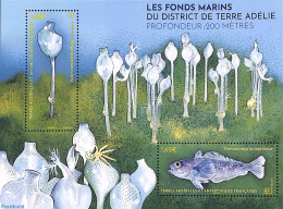 French Antarctic Territory 2024 Deepsea Terre Adélie District S/s, Mint NH, Nature - Fish - Neufs