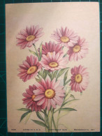 CARTE À COLLECTIONNER, FLEURS, ART : Magnifique Peinture D Beau Bouquet De  Belles Fleurs, Couleurs Pastel. Nature Morte - Fleurs