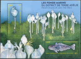 TAAF 2024. The Seabed Of Adélie Land (MNH OG) Souvenir Sheet - Ungebraucht