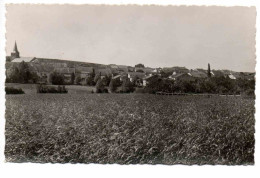 REMONCOURT (88) - Vue Générale - Sonstige & Ohne Zuordnung