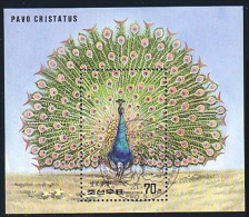 Korea Paon Peacock ( A51 753b) - Other & Unclassified