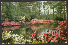 United States - 1955 - Alabama - Mobile - Bellingrath Gardens - Mobile