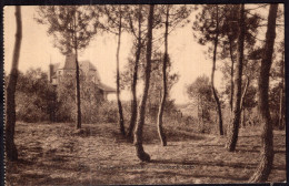 Belgique - Knokke - Le Zoute - Dunes Broisées - Knokke