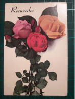 CARTE POSTALE; De Beaux Bouquets De Fleurs Aux Délicates Couleurs Pastel Et Un Message Plein D'affection Pour Un être Ch - Dia De Los Amorados