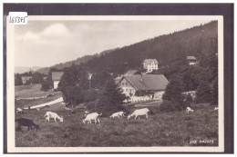 DISTRICT DE GRANDSON - LES RASSES SUR SAINTE CROIX - TB - Sainte-Croix 