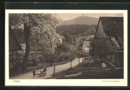 AK Oybin, Hain Mit Hochwald  - Oybin