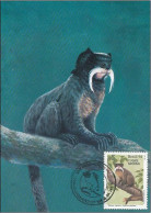 Brasil (Brazil) - 1994 - Monkeys - Maximum Card (##1) - Affen