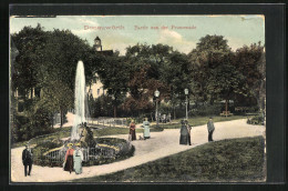 AK Donauwörth, Promenade Im Stadtpark  - Donauwoerth
