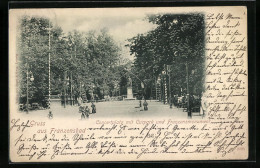 AK Franzensbad, Konzertplatz Mit Kurpark Und Franzensmonument  - Tchéquie