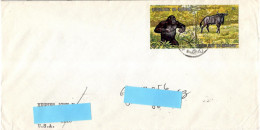 Burundi 1971, Chimpanzees, Circulated Cover To USA - Schimpansen