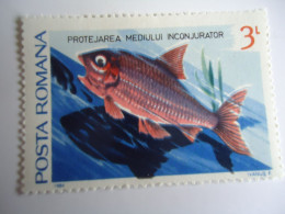 ROMANIA  MNH   STAMPS  FISHES  FISH - Fishes