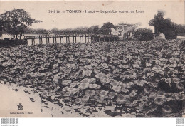 B8- TONKIN - HANOI - LE PETIT LAC COUVERT DE LOTUS - ( 2 SCANS ) - Viêt-Nam