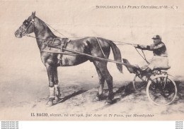 La France Chevaline - N° 68 - 1912 - IL BACIO , Alezan, Né En 1908 , Par Azur Et Ti Paza Par Moonlighter - Paardensport
