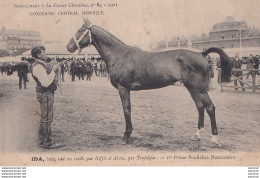 FRANCE CHEVALINE - CONCOURS CENTRAL HIPPIQUE - IDA PAR KIFFIS ET ALMA PAR TRAFALGAR - 1 Er PRIME POULICHES NORMANDES - Horse Show