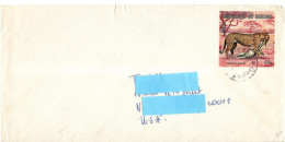 Burundi, Circulated Cover To USA - Félins