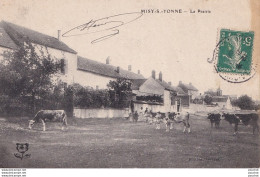  B17-77) MISY SUR YONNE - LA PRAIRIE - ( ANIMEE - HABITANTS - VACHES ) - Other & Unclassified