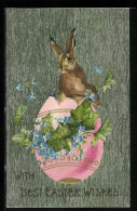 AK Osterhase In Eierschale Mit Efeuranken  - Easter