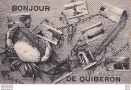 B2-56) QUIBERON - BONJOUR -  CRABE - MULTIVUES -  ( 2 SCANS) - Quiberon