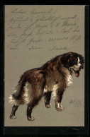 Lithographie Hund Mit Langem Fell Und Heraushängender Zunge  - Hunde