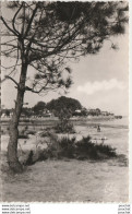 E3-40) CAPBRETON (LANDES)  UNE VUE SUR LES VILLAS - (OBLITERATION DE 1956 - 2 SCANS) - Capbreton