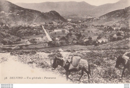 F17 - DELVINO (PIRIN MACEDOINE) VUE GENERALE PANORAMA  - (MULES  - 2 SCANS) - Nordmazedonien