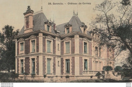 F13-95) SANNOIS - CHATEAU DE CERNAY - (CARTE TOILEE - 2 SCANS) - Sannois