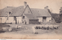 23) CREUSE - FERME CREUSOISE - EDIT. DE NUSSAC , GUERET - HABITANTS AVEC CURE - COCHONS - MOUTONS - EN 1904 - 2 SCANS  - Sonstige & Ohne Zuordnung