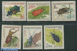 Czechoslovkia 1962 Insects, Beetles 6v, Mint NH, Nature - Insects - Other & Unclassified