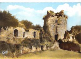 22-LANNION-CHÂTEAU DE TONQUEDEC-N°4503-D/0265 - Lannion