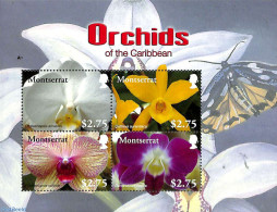 Montserrat 2008 Orchids Of The Caribbean 4v M/s, Mint NH, Nature - Flowers & Plants - Orchids - Autres & Non Classés