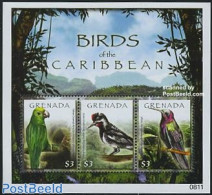 Grenada 2008 Birds 3v M/s, Mint NH, Nature - Birds - Parrots - Autres & Non Classés