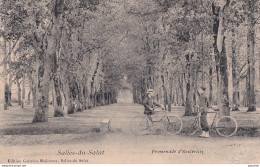 Z16-31) SALIES DU SALAT -  PROMENADE  D ' AUSTERLITZ - ANIMEE - HABITANTS - CYCLISTES - EN 1909 -  ( 2 SCANS ) - Salies-du-Salat