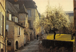 24-SARLAT-N°4506-D/0245 - Sarlat La Caneda