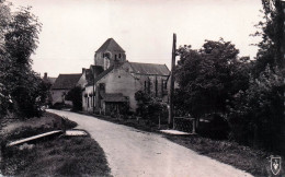 18* SAVIGNY EN SANCERRE   Route De Sury (CPSM 9x14cm)       RL46,1317 - Sonstige & Ohne Zuordnung