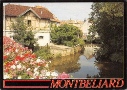 25-MONTBELIARD-N°4508-C/0359 - Montbéliard