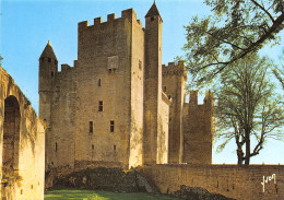 24-BEYNAC-LE CHÂTEAU-N°4508-B/0013 - Autres & Non Classés