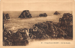 29-CROZON-LA PRESQU ILE-N°4510-E/0355 - Crozon