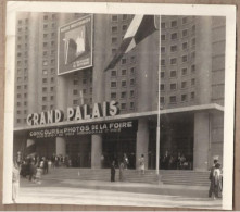 PHOTOGRAPHIE 13 MARSEILLE - GRAND PALAIS TB DEVANTURE Façade FOIRE 1955 ANIMATION  Entrée Marché Méditerranéen - Unclassified